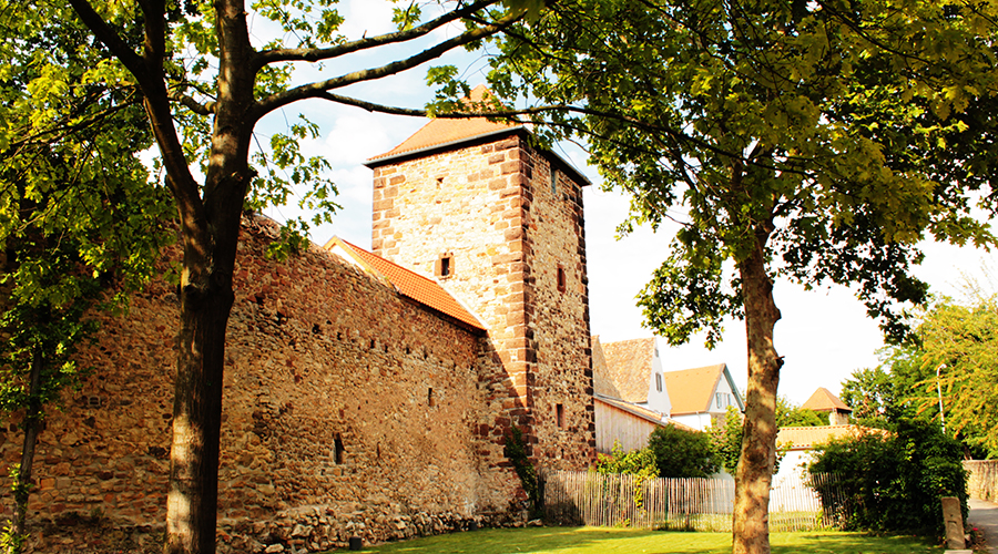 palatine